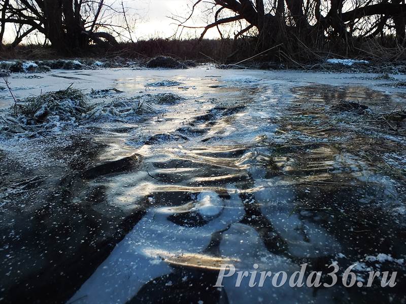 Лед на водоемах Воронежской области Природа Воронежской области