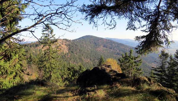 Чешский лес
