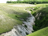 Меловой каньон в Дивногорье (лискинский район) обнажает отложения белого писчего мела.