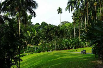Сингапурский Ботанический сад