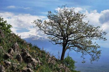 Природа острова Сицилия