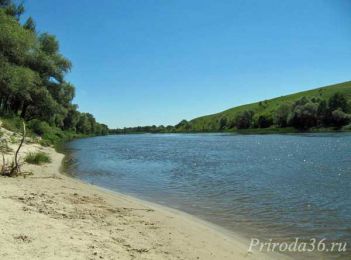 Рыбалка на Дону