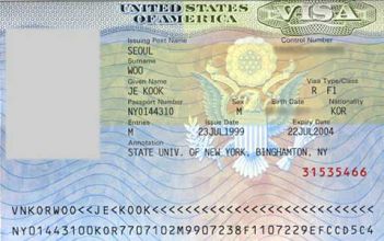 Что такое виза?