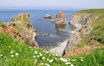 Природа Черного моря
