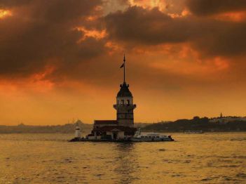 Природа Черного моря